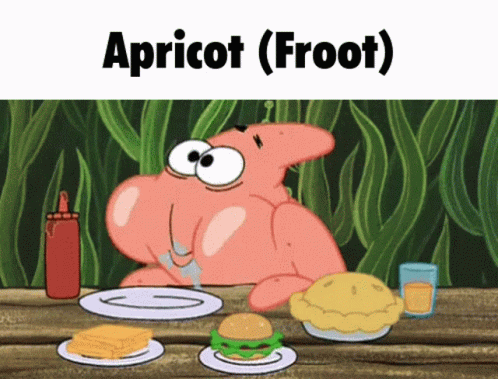 Froot Apricot GIF - Froot Apricot GIFs