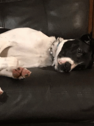 Just Cant Lazy GIF - Just Cant Lazy Chill GIFs