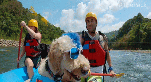 Excited The Pack GIF - Excited The Pack Happy GIFs