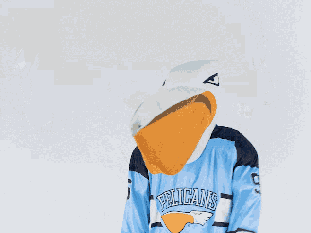 a pelican mascot wearing a pelican 's jersey