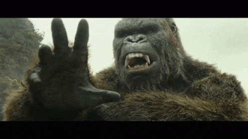 a close up of a gorilla with its hand outstretched