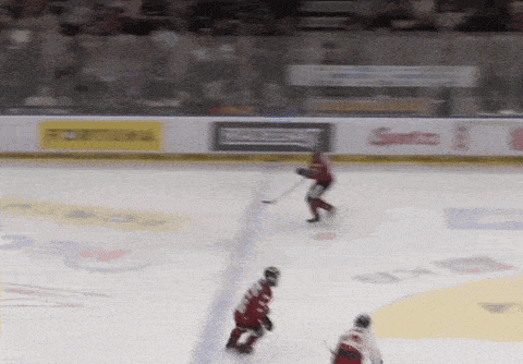a hockey game is being played in front of a banner that says ' fortune ' on it