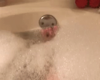 Bathtime Sexy GIF - Bathtime Sexy Boo GIFs