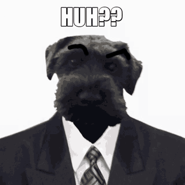 a picture of a dog in a suit and tie with the words huh written above it