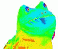 Frog Meme GIF - Frog Meme Mlg GIFs