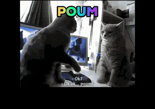 two cats are looking at each other with the word poum behind them