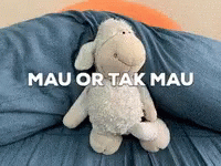 Dont Know Mau Or Tak Mau GIF - Dont Know Mau Or Tak Mau Stuffed Toy Sheep GIFs