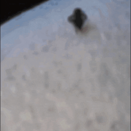 a close up of a fly on a piece of fabric