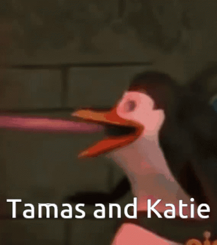 Tamas And Katie Penguin GIF - Tamas And Katie Penguin Madagascar GIFs