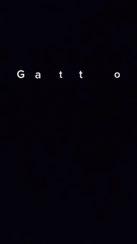 Gatto GIF - Gatto GIFs