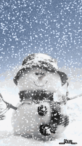 a snowman wearing a hat and scarf is standing in the snow with naz written on the bottom