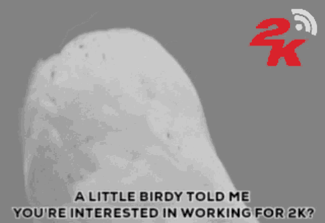 a little birdy told me you 're interested in working for 2k ?
