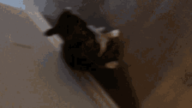 a blurred image of a person standing on a wall
