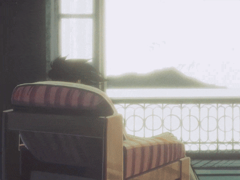 a person sits in a chair in front of a window