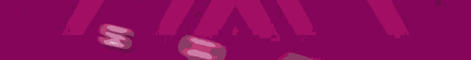 squido cult is written on a pink background