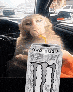 a monkey drinking a can of monster energy drink