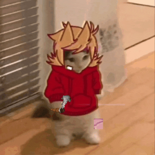 a cat wearing a red hoodie is standing on a wooden floor holding a cigarette .