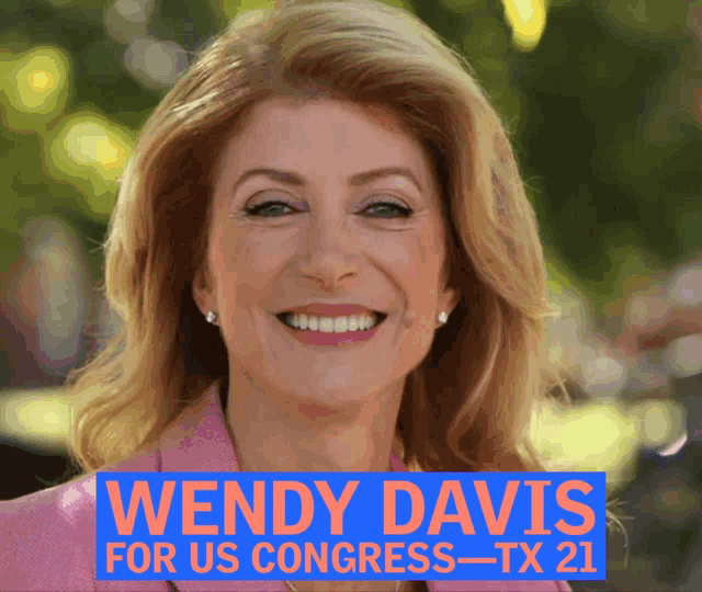 Wendy Davis Us Congress GIF - Wendy Davis Us Congress Wendy For Texas GIFs