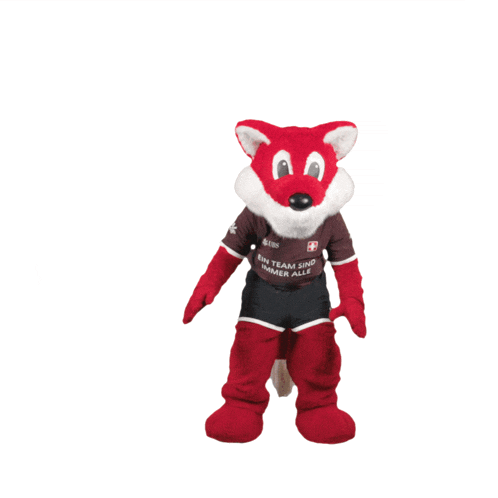 a red fox mascot wearing a shirt that says ein team sind immer alle