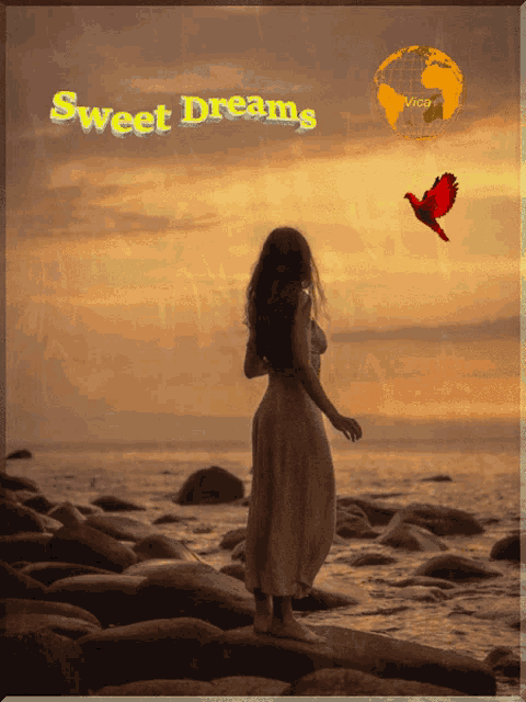 a woman is standing on a rock near the ocean with the words sweet dreams written above her