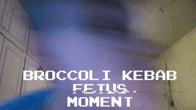 a blurred image of a person with the words broccoli kebab fetus moment
