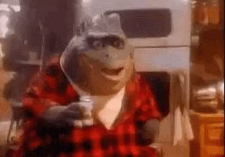 Surprised Shocked GIF - Surprised Shocked See You Later Alligator GIFs