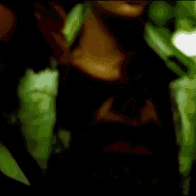 a blurry picture of a person wearing a green jacket and sunglasses