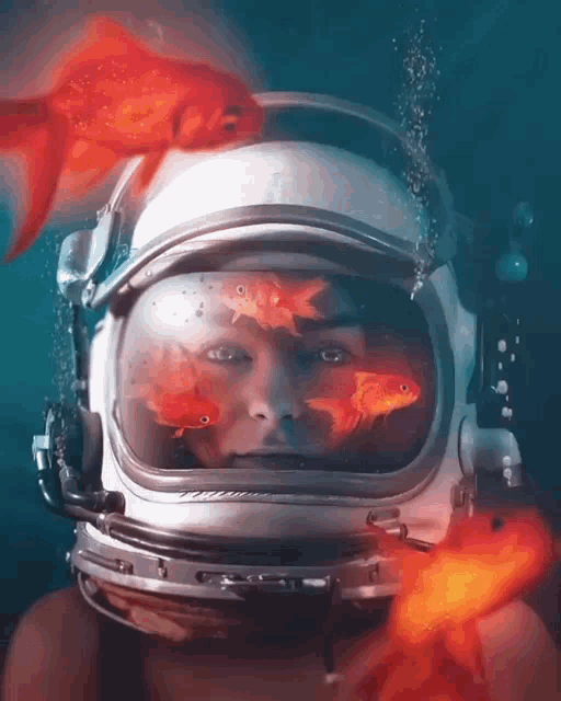 a woman wearing an astronaut 's helmet with goldfish in it