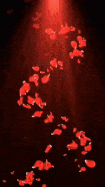 a woman 's face is surrounded by red petals and a red light .