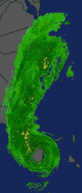 Florida Hurricane GIF
