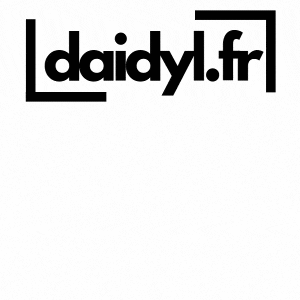 a blue and black logo for daidyl.fr