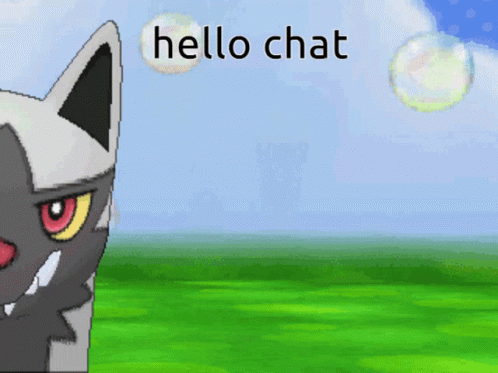 Poochyena Pokemon Hello Chat GIF - Poochyena Pokemon Hello Chat GIFs