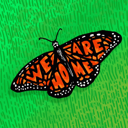 We Are Home Butterfly GIF - We Are Home Butterfly Monarch GIFs