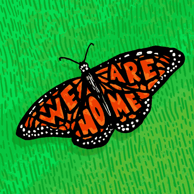 a butterfly that says we are home on it