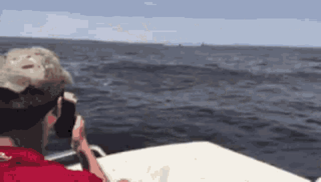 Ethplode Whale GIF - Ethplode Ethplo Whale GIFs