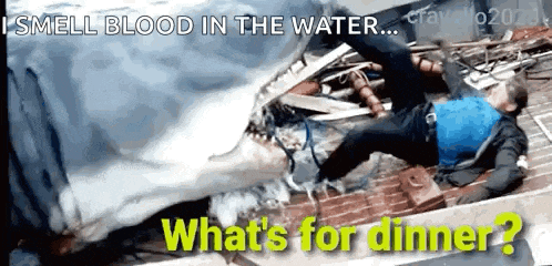 a man is being attacked by a shark and the caption says " i smell blood in the water "