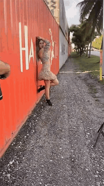 a woman in a dress leaning against a red wall with the word hawaii written on it