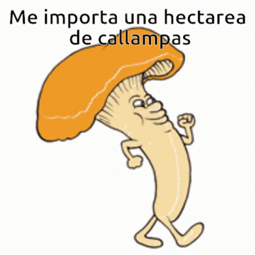 Callampas No Me Importa GIF - Callampas Callampa No Me Importa GIFs