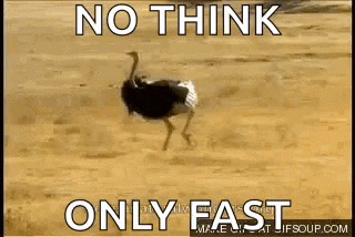 an ostrich is running in the desert with a caption that says `` no think only fast ''