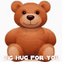 a teddy bear with the words `` big hug for you '' written on it .