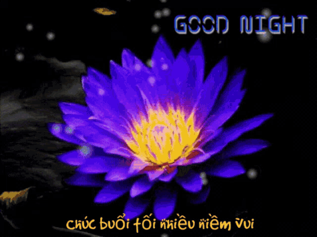 Night Good Night GIF - Night Good Night Sweet Dreams GIFs