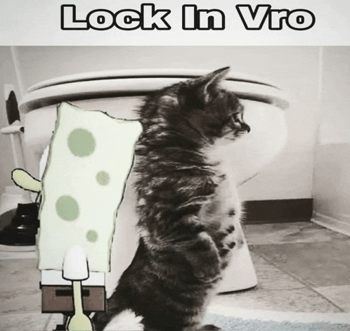 a cat is standing next to a toilet with spongebob on it