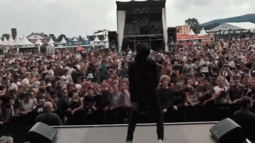 Concert Jumping GIF - Concert Jumping Hype GIFs