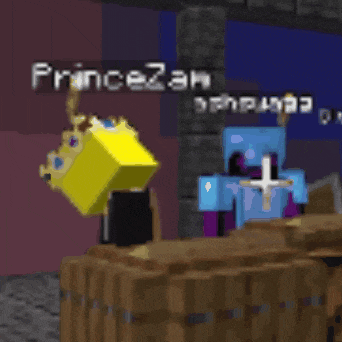 a screenshot of a video game with the name princezam on the bottom
