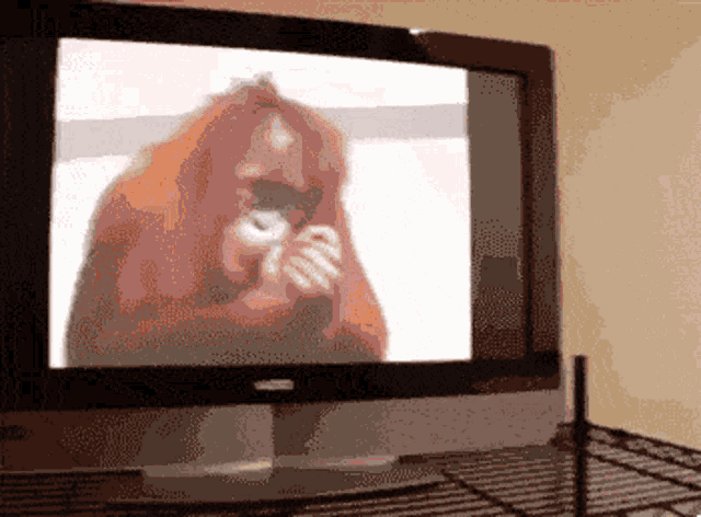 a tv screen shows an orangutan eating something