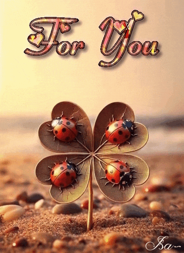 a ladybug on a four leaf clover with the words " for you " above it
