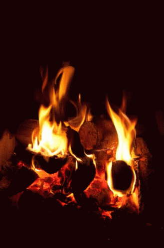 Cozy Fire GIF - Cozy Fire Flame GIFs