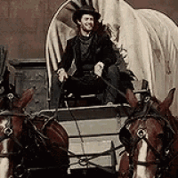 a man is sitting in a horse drawn carriage .