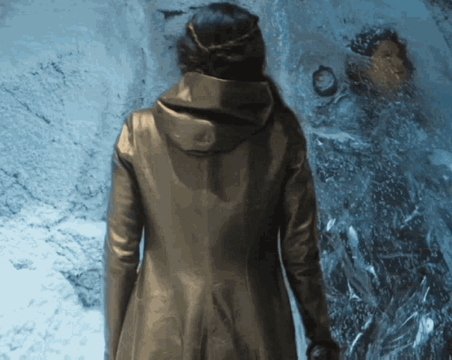 a woman in a hooded coat is standing in front of a wall of ice