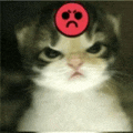 a cat with a red smiley face on its head .